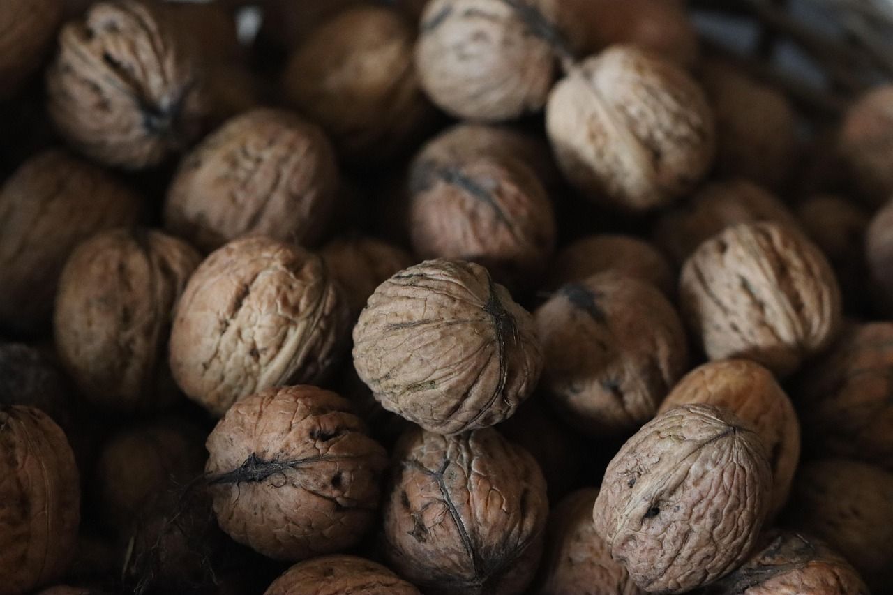 entdecken sie die welt der superfoods: gesunde lebensmittel, die ihren körper stärken, das wohlbefinden fördern und ihre ernährung bereichern. erfahren sie mehr über vorteile, anwendung und rezepte für ihren gesunden lebensstil.