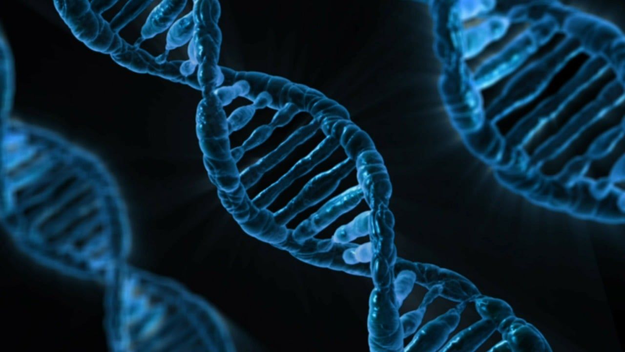 entdecken sie die neuesten medizinischen technologien, innovative lösungen und trends im gesundheitswesen zur verbesserung von diagnose, behandlung und patientenversorgung.