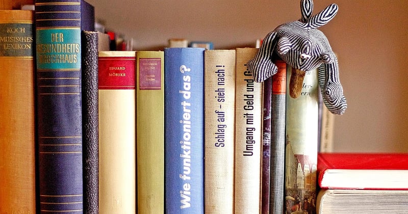 New Adult Bücher: Die besten Romane für junge Erwachsene