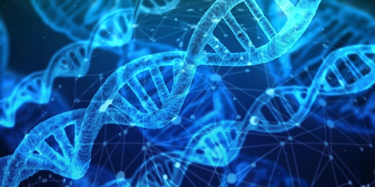 Welche Technologien revolutionieren die Medizin?