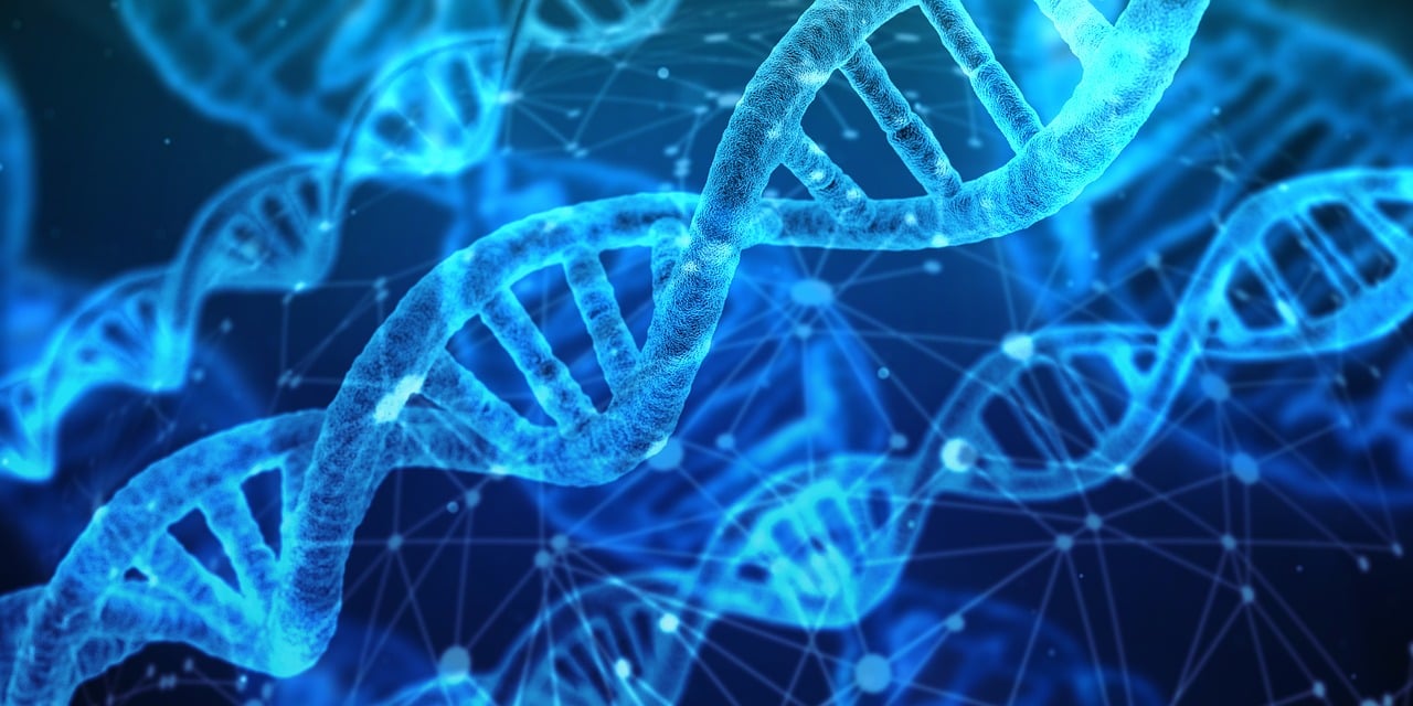 Welche Technologien revolutionieren die Medizin?