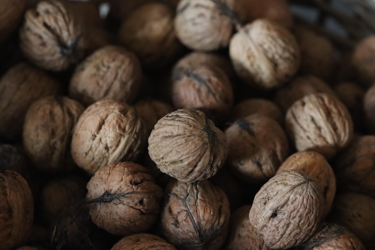 entdecken sie die welt der superfoods: gesunde lebensmittel, die ihren körper stärken, das wohlbefinden fördern und ihre ernährung bereichern. erfahren sie mehr über vorteile, anwendung und rezepte für ihren gesunden lebensstil.