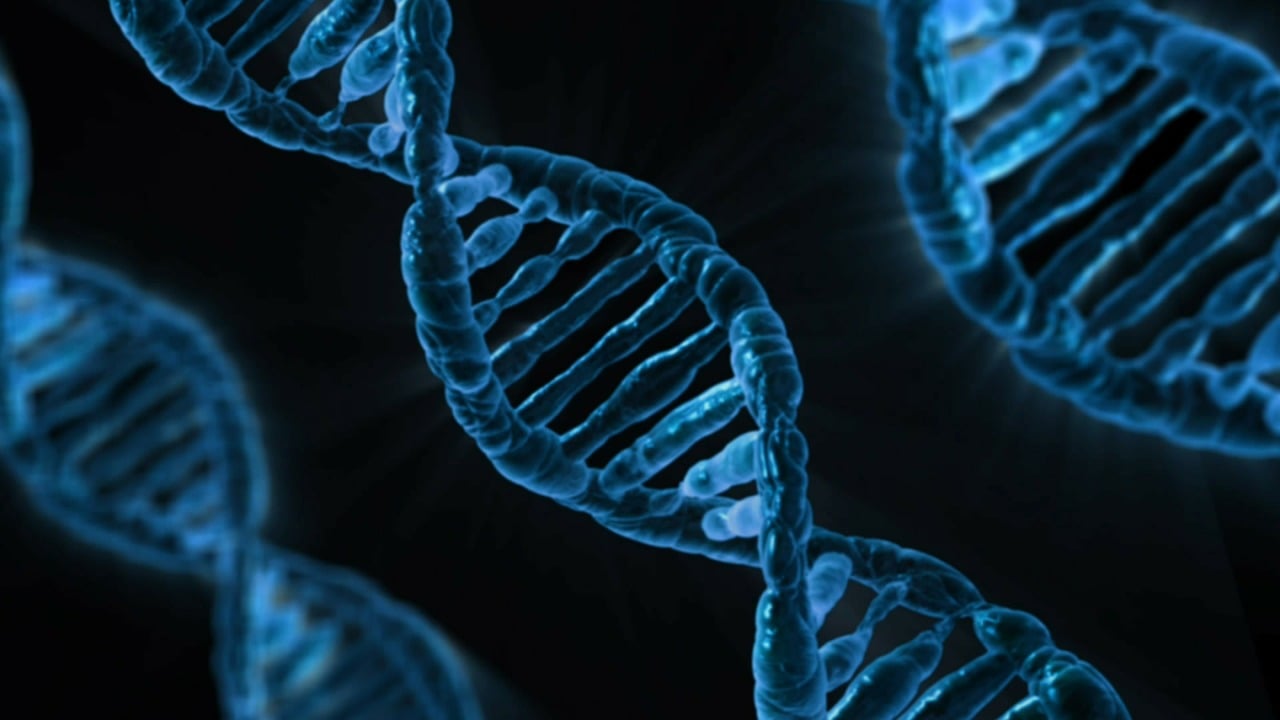 entdecken sie die neuesten medizinischen technologien, innovative lösungen und trends im gesundheitswesen zur verbesserung von diagnose, behandlung und patientenversorgung.
